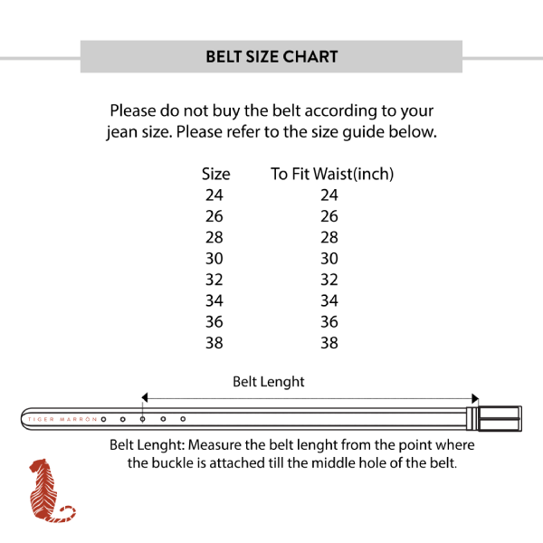 ARMOUR BELT